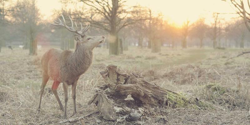 IPv6升级实战指南:从网络技术到前端适配的全链路解决方案