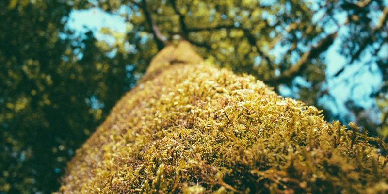 Wi-Fi 6技术深度解析：如何在高密度场景下实现性能飞跃与安全加固