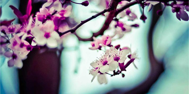 从架构到优化:WebRTC如何重塑企业级实时音视频通信