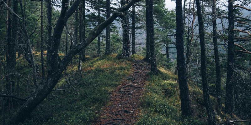 基于意图的网络(IBN)实现原理:从策略自动化到网络自愈,前端开发者必知的资源分享