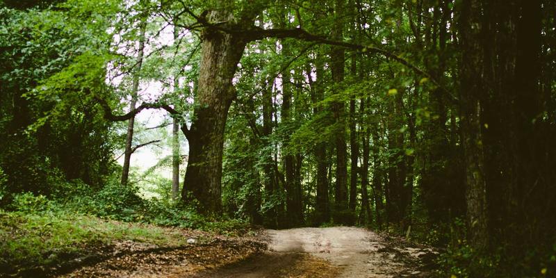 微秒之争:深度解析PTP、NTP与gPTP在金融交易与工业自动化中的精准部署实战