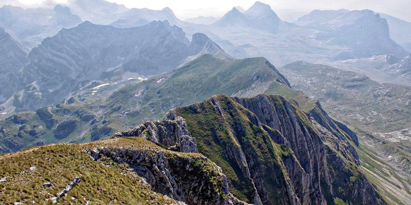 智能防御新纪元：AI驱动的网络异常检测与主动安全防护策略