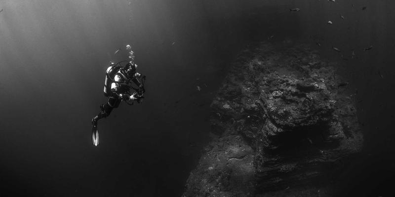 网络技术如何成为企业数字化转型的引擎:从前端到后端的战略布局